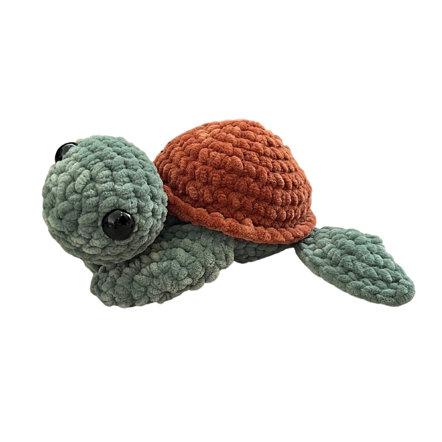 Tortue