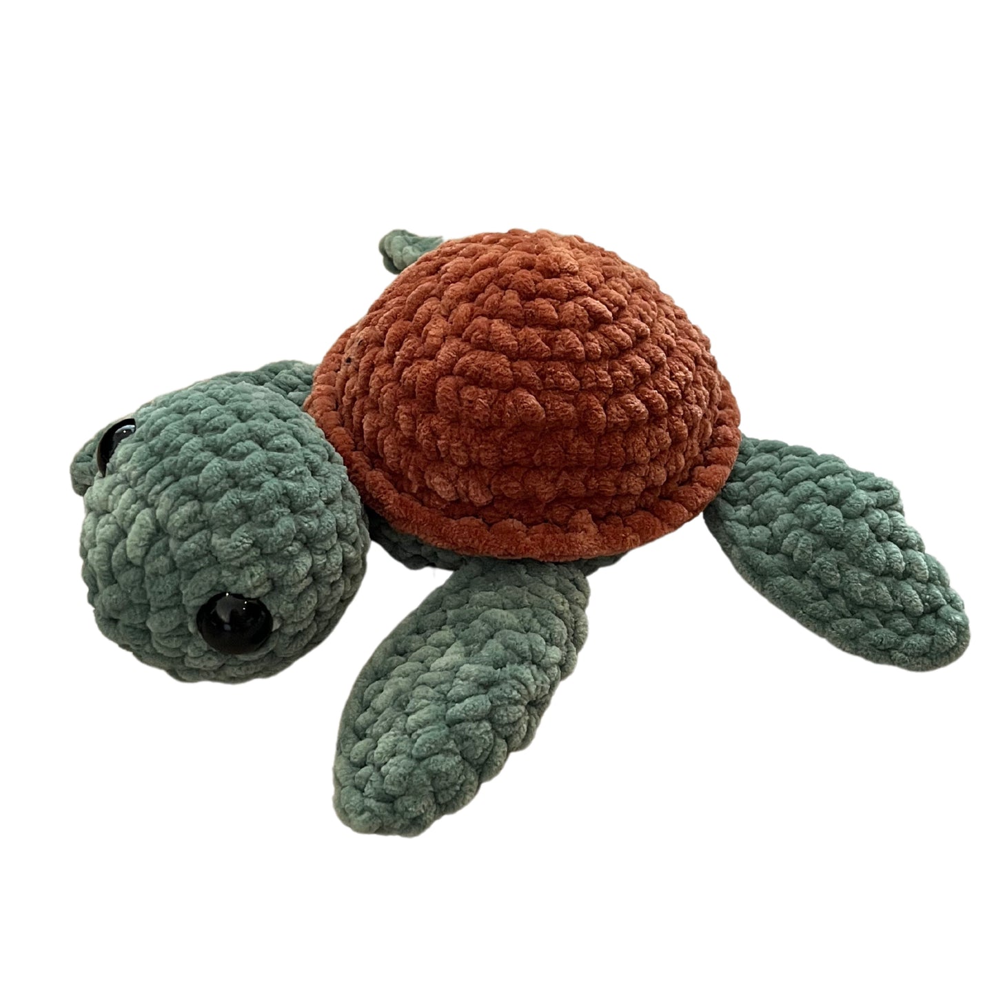Tortue